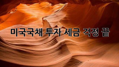 미국국채 투자, 세금 걱정 끝!