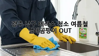 광주 남구 테라스 청소, 여름철 벌레&곰팡이 OUT!