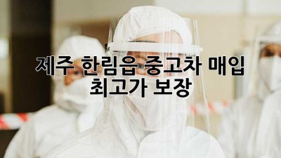 제주 한림읍 중고차 매입, 최고가 보장!